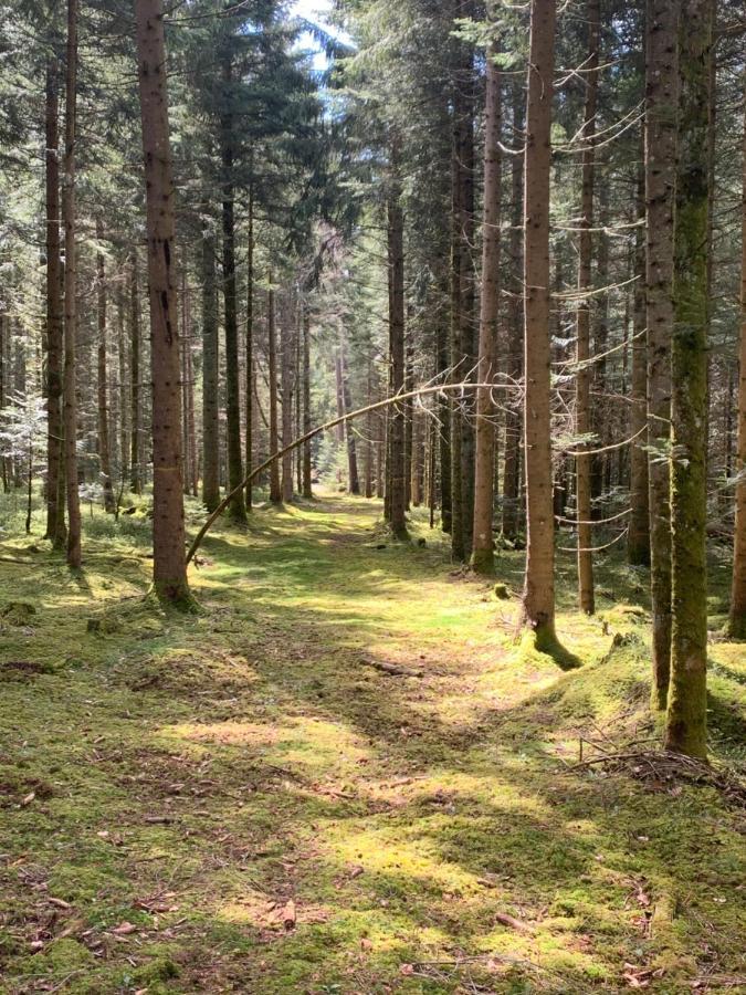 Tarahaus Apartman Sankt Georgen im Schwarzwald Kültér fotó