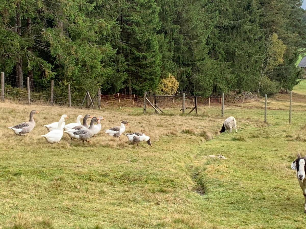 Tarahaus Apartman Sankt Georgen im Schwarzwald Kültér fotó