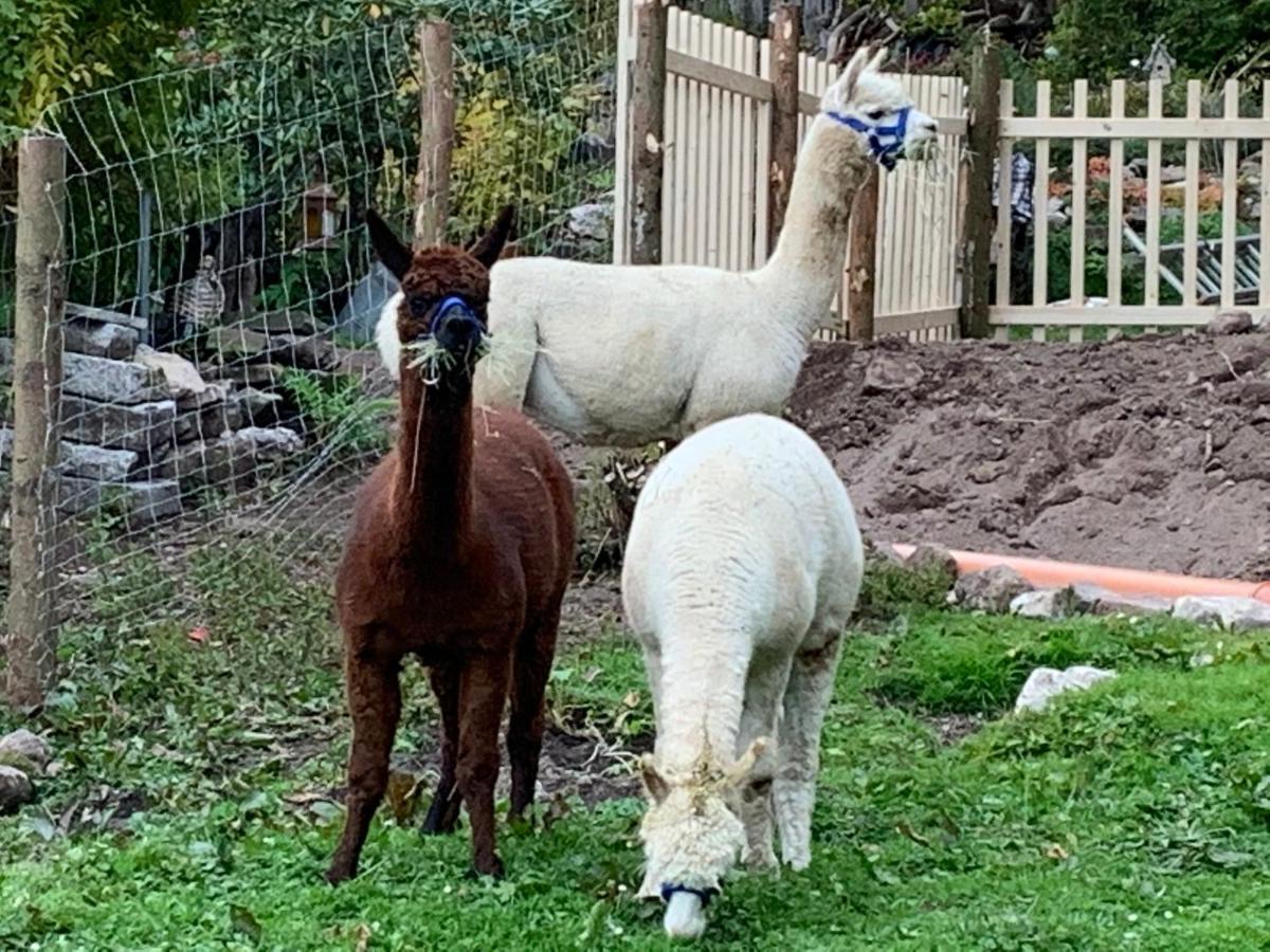 Tarahaus Apartman Sankt Georgen im Schwarzwald Kültér fotó