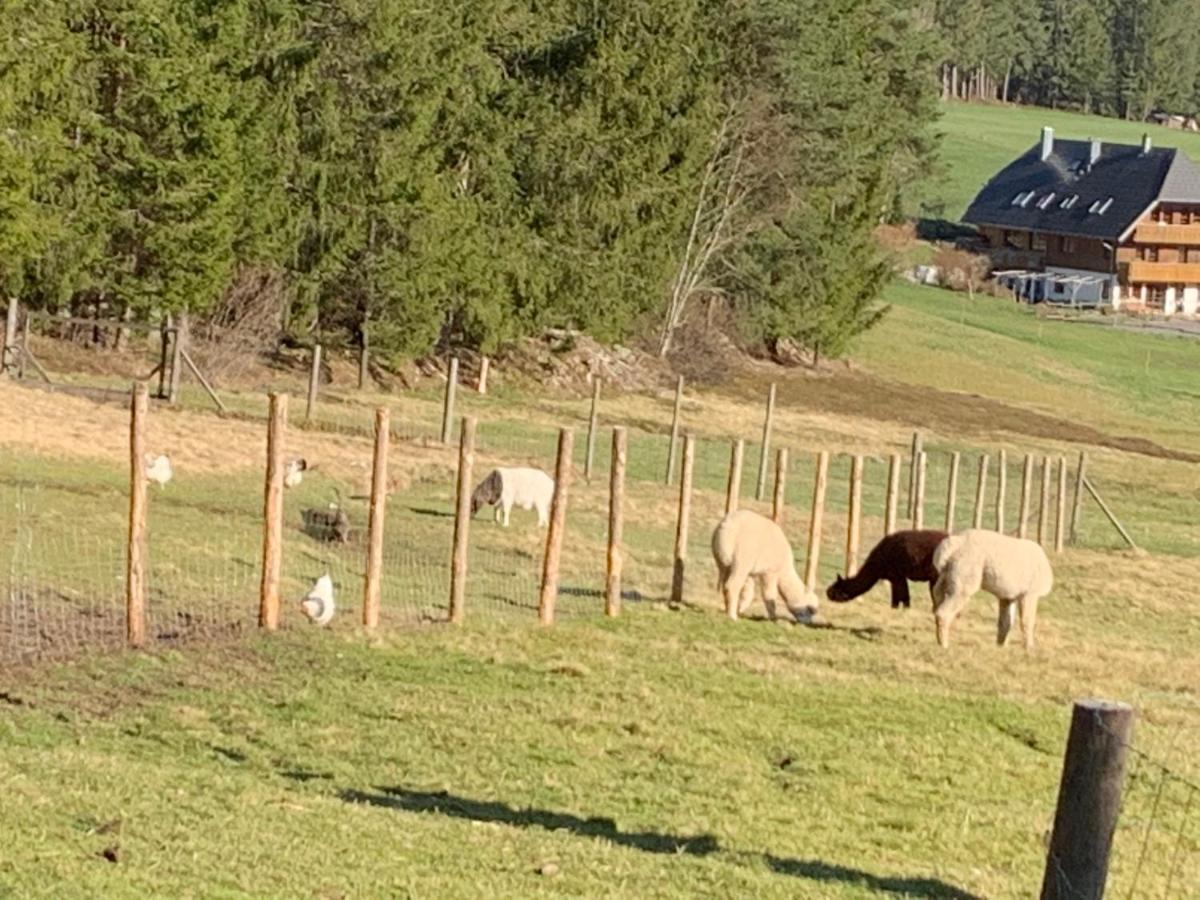 Tarahaus Apartman Sankt Georgen im Schwarzwald Kültér fotó